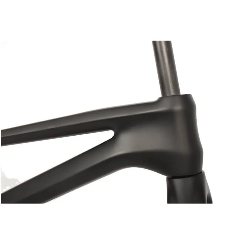 20er Pro XXL BMXカーボンフレーム - Haidelibikes