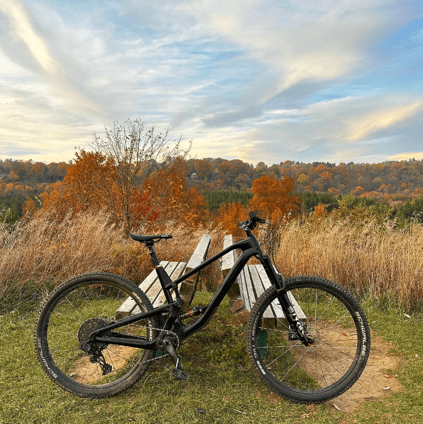 carbon mtb frame