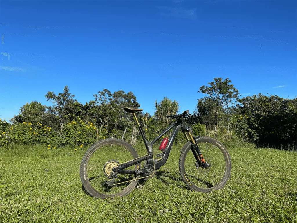 mountain bike frame 29