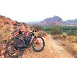 carbon hardtail frame