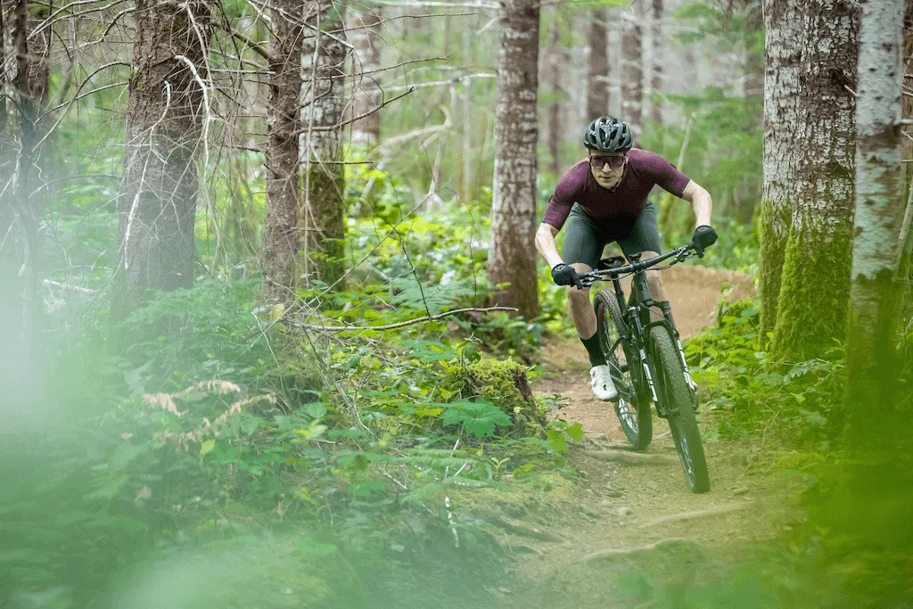 cuadro de bicicleta de montaña 29er