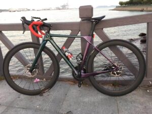 carbon gravel fork bike