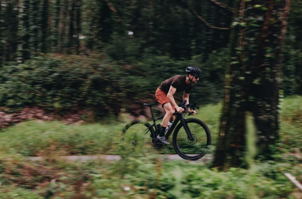 carbon fiber ebike