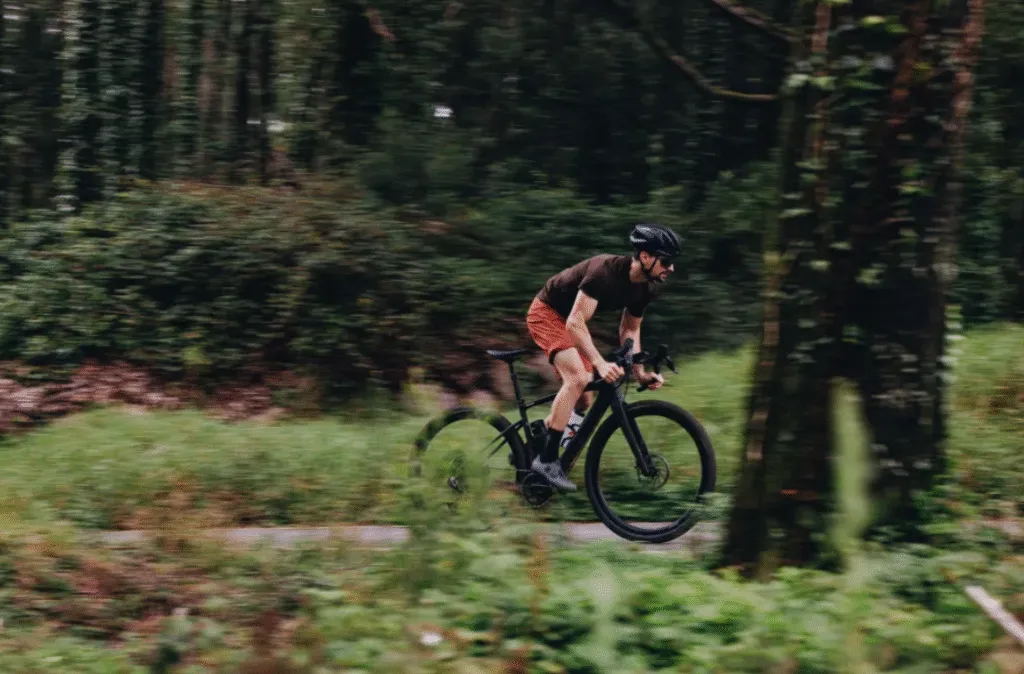 carbon fiber ebike