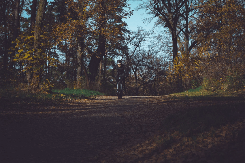 carbon gravel frame
