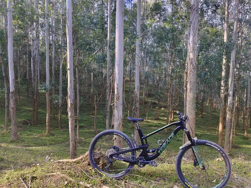 carbon mountain bike frame
