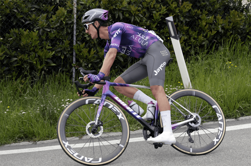 giant carbon road bike frame